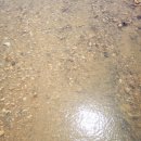 메종드씨엘 이미지