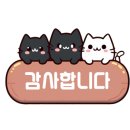 광주 상무지구 실내놀이터 바운스 트램폴린 파크 +솔직 후기