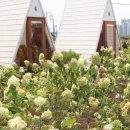 토성1농로 이미지