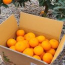 승연농장 이미지