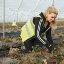 영국농장 이미지