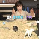 박세리 '나혼산' 천둥이 목줄 해명 "천둥이도 마당에 풀어놨다" 이미지