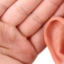 실로암보청기 이미지