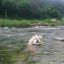 보보스캇 캠핑장 이미지