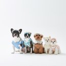 킴스동물병원 이미지