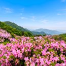 단곡화장실2 네이버블로그