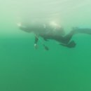 이순신마리나 이미지