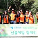어등산호남대 이미지
