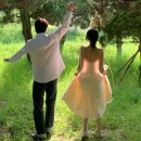 하단동227 | w5. 부산 웨딩스냅 아이폰 스냅 야외스냅 계약 후기(bou.snap) feat. 야외스냅은 하고 싶지만 간단하게...