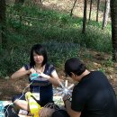 생명의 시작 이미지