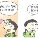 신명공사 이미지