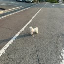 일만족발 수원권선구점 | 너무너무 바쁜 가정의 달 5월.. 가전 가구 알아보고 일만 하는 일개미 총총🐜