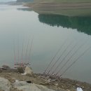 늘푸른낚시터 이미지