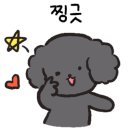 펫존&견생컷 이미지