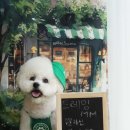 트레밍MM 이미지