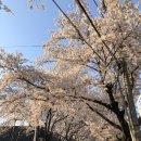 물태리 다목적회관 이미지