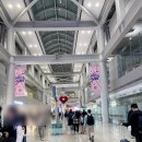 디올 오블리크 새들 카드지갑 면세점에서 더 비싸게 구매한후기 (인천공항 면세점 명품매장 공유)