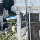 요미브런치 | 수원 행궁동 데이트코스 : 주차꿀팁, 요미우돈교자 주말 웨이팅 후기, 브런치카페 팜투하녹