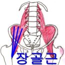 삼성전자OK한의원 이미지