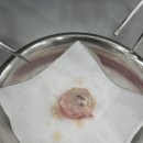 올케어 동물의료센터 이미지