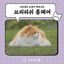 다다캣 네이버블로그