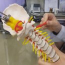 양산버드나무한의원 이미지