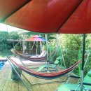 한옥과편백의 만남 이미지