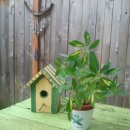 어쭈구리 이미지