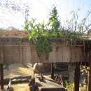 까치울역 이미지