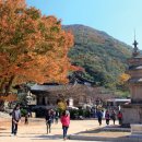 표충사 1 이미지