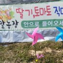 들말농장 이미지