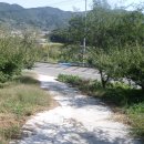 철암농장 이미지