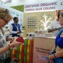 엔젤스토리 이미지