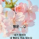 토스트&김밥 이미지