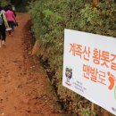 황토길 Daum카페