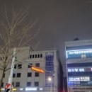 우수영동물병원 이미지