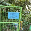 애견동반 멍멍아노올자 이미지