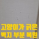고양이 벽지 긁음, 찢어진 벽지 전체 도배 없이 부분보수로 해결(전세 원상복구)