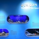 금강수족관 - 천안시 서북구 부송2길 3 | 금강수족관