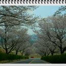 광주컨트리클럽 이미지