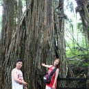 민두벌꿀 | 발리 신혼여행 자세한 후기 - 6. 원숭이숲과 우붓시장 및 발리 패키지여행에 있어 민자카만 알려주는 팁...