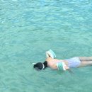 판포리뷰 이미지