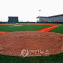 스포츠타운 풋살경기장 이미지