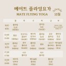 메이트플라잉요가