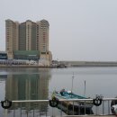 골목새우 이미지