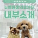 뉴엘동물의료센터 이미지