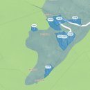 북면천마공인중개사사무소 | 천안 북면 운용리 위례산 아래 산양삼, 천마 최적 재배지 임야 공시가로 급매중