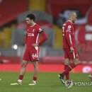 양지은농장 이미지