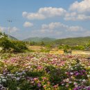 화북면 보건지소 이미지