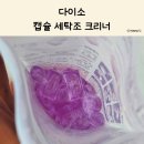 캡슐형 | 다이소 캡슐형 세탁조 크리너 직접 사용해 본 후기